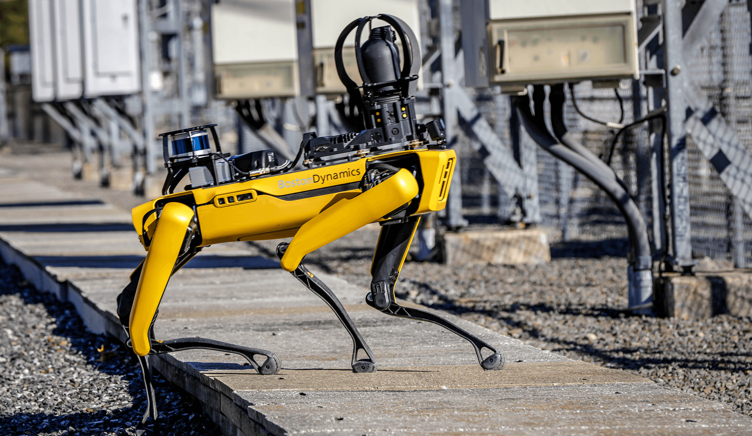 Rightpoint Helps Boston Dynamics Create Bespoke Experiences to Ready Spot for Market - Image